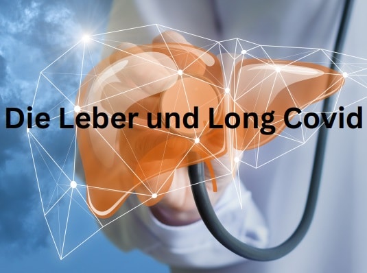 Kornelia C. Rebel - Die Leber und Long Covid